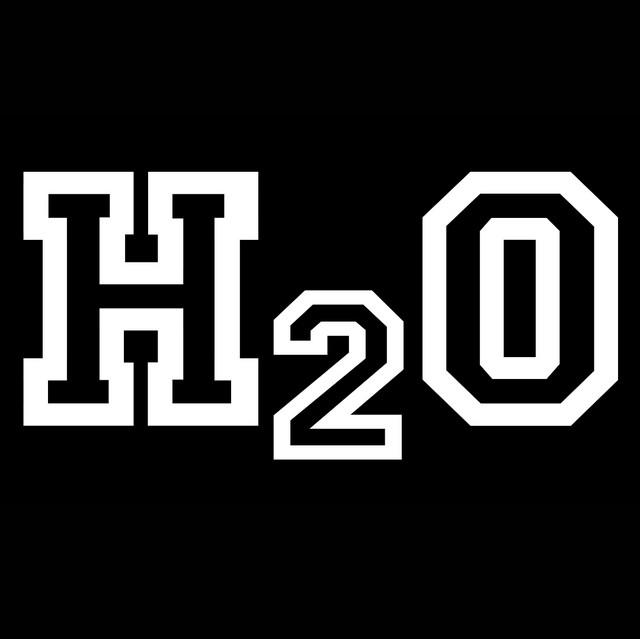 H20