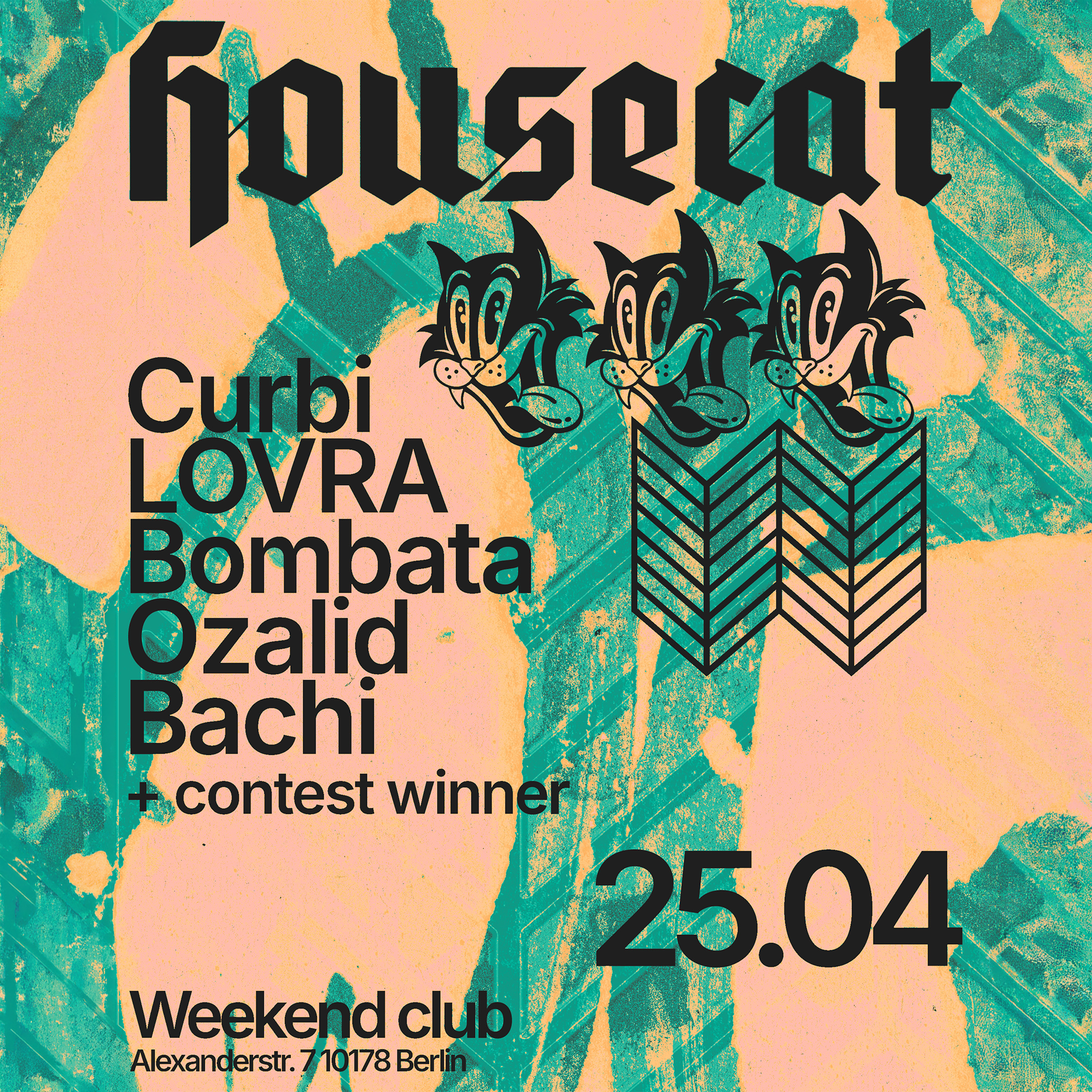 HOUSECAT w/ CURBI & LOVRA