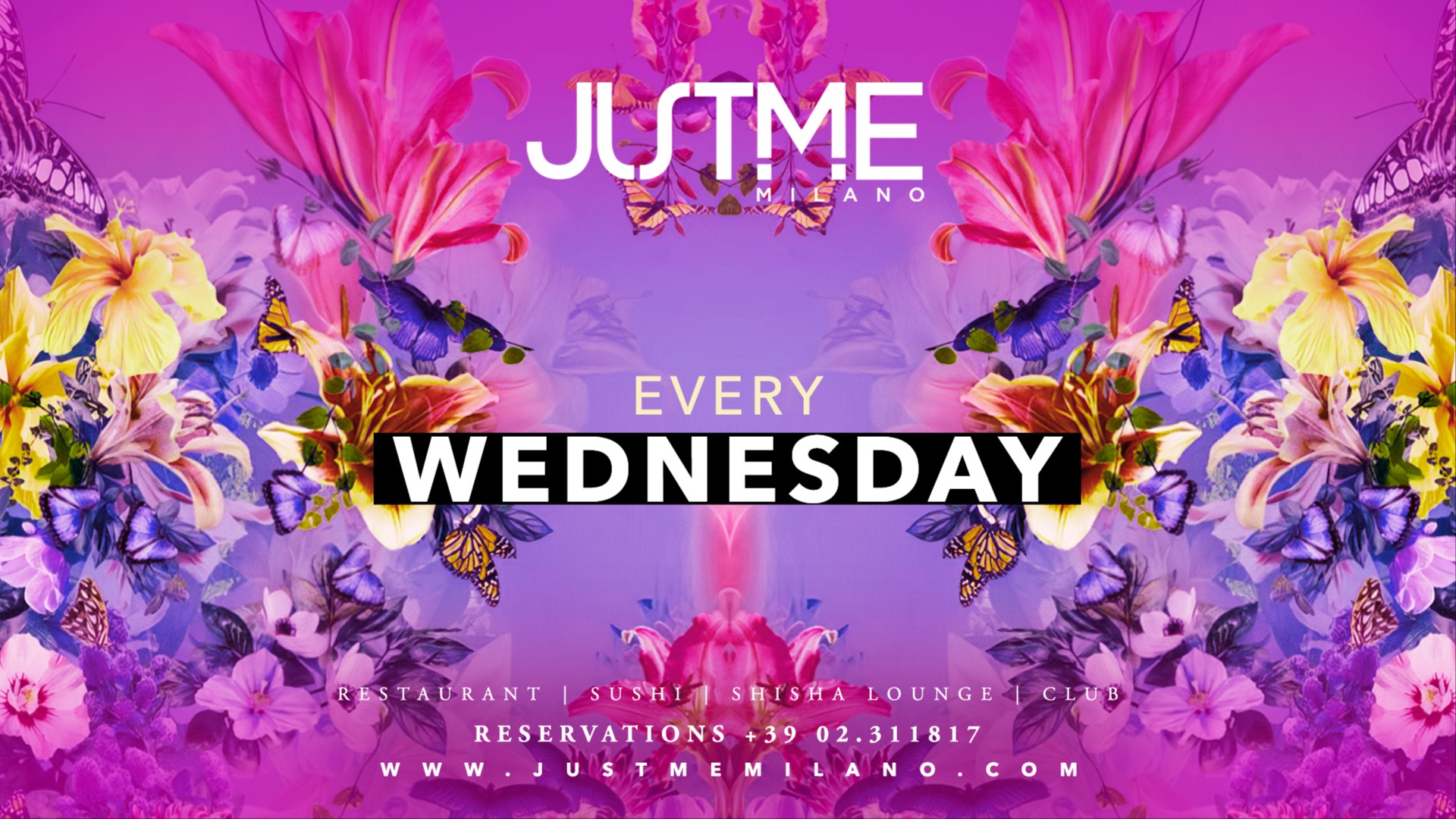 Official cover of the event Wednesday Night